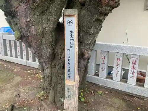 弥生神社(神奈川県)