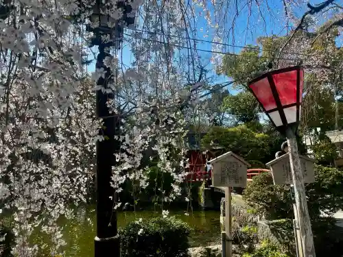 三嶋大社の{uncategorized: "未分類", other: "その他", undefined: "問題あり", building: "その他建物", grave: "お墓", sacred_gate: "鳥居", guardian: "狛犬", statue: "像", buddha: "仏像", history: "歴史", nature: "自然", garden: "庭園", animal: "動物", pagoda: "塔", temizu: "手水舎", mountain_gate: "山門・神門", sanctuary: "本殿・本堂", subordinate: "末社・摂社", art: "芸術", scenery: "景色", jizo: "地蔵", ema: "絵馬", goshuin: "御朱印", omikuji: "おみくじ", items: "授与品その他", amulet: "お守り", goshuincho: "御朱印帳", eats: "食事", festival: "お祭り", votive_dance: "神楽", shichigosan: "七五三参", wedding: "結婚式", experience: "体験その他", initially: "初詣", around: "周辺", anti_infection: "感染症対策"}