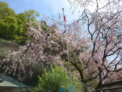 根岸八幡神社の自然