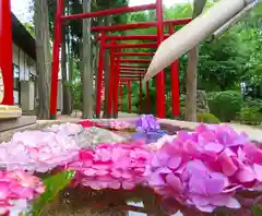 藤田神社[旧児島湾神社]の手水