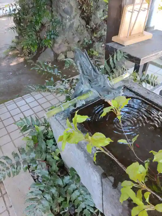 柏諏訪神社(千葉県)
