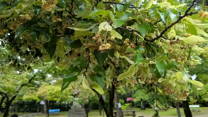 真正極楽寺(真如堂)(京都府)