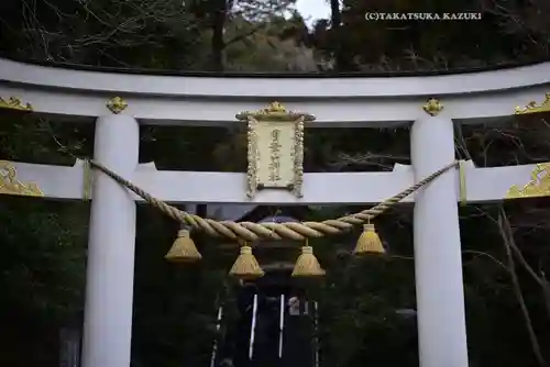 宝登山神社(埼玉県)