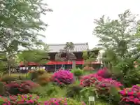 清水観音堂のその他建物