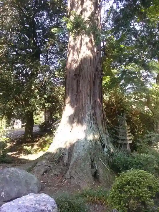 赤門の寺 法蔵寺(栃木県)