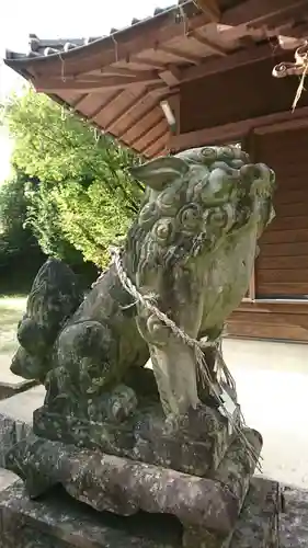 河内阿蘇神社の狛犬