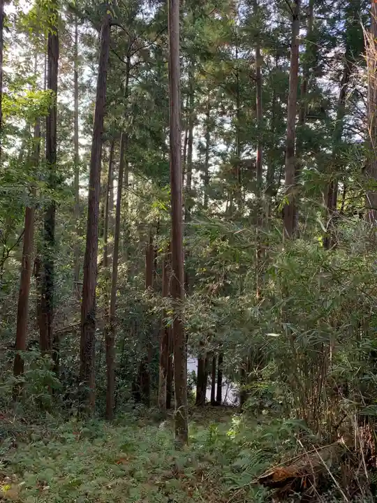 富士浅間大権現の周辺