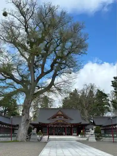 北海道護國神社の本殿・本堂