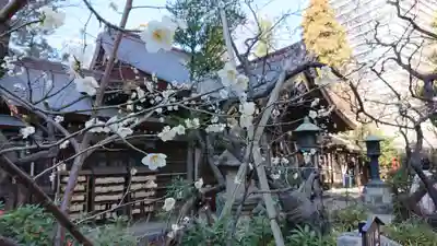 愛宕神社の本殿・本堂