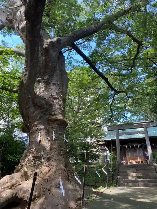 愛宕神社(福島県)