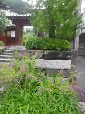 大巧寺の山門・神門
