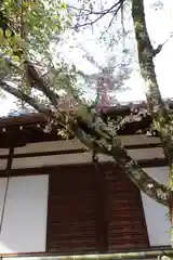 平野神社の建物その他