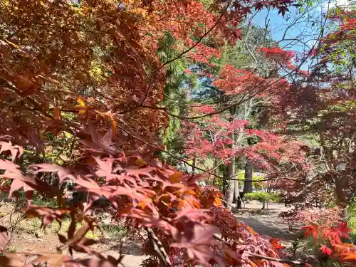 天台宗 五大山 白毫寺(兵庫県)