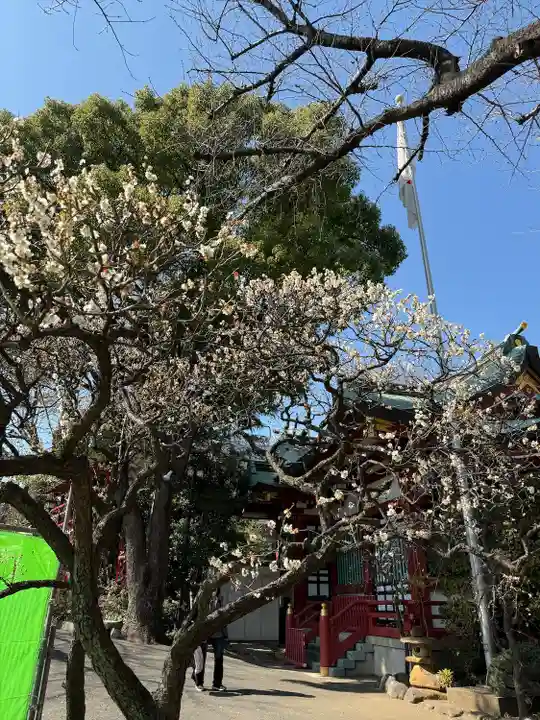 居木神社(東京都)