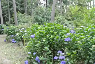 石刀神社(愛知県)
