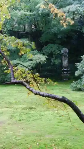 三千院門跡の庭園