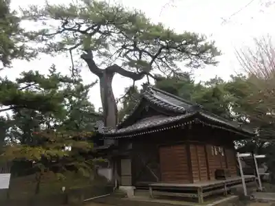 葛飾神社(千葉県)