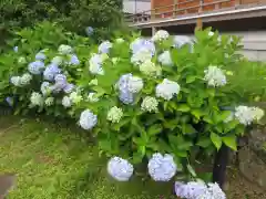 鏑射寺(兵庫県)