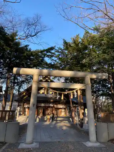 新琴似神社の鳥居