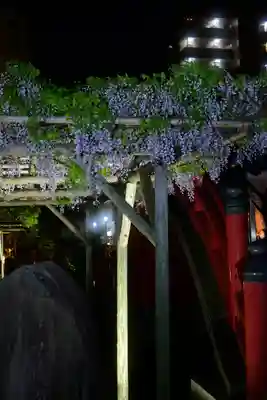 亀戸天神社(東京都)