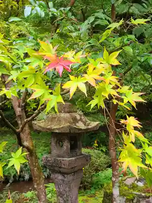 粟鹿神社(兵庫県)