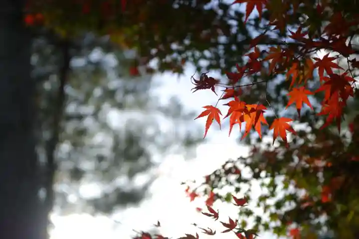 仁和寺(京都府)