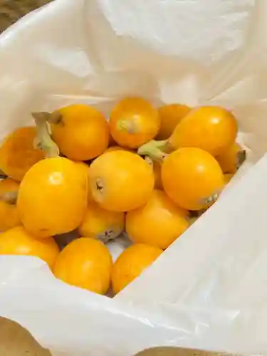 相模原氷川神社の授与品その他