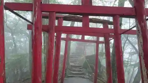 温泉神社の鳥居