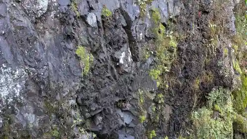 興聖寺（興聖寶林禅寺）の自然