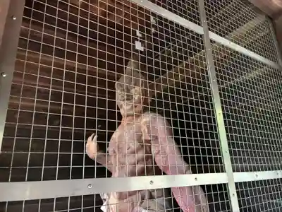 切幡寺(徳島県)