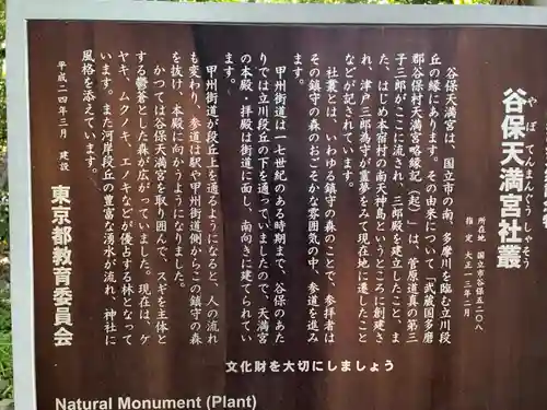 谷保天満宮の歴史