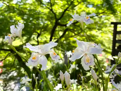 長楽寺(長野県)