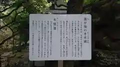 瑠璃光寺の歴史