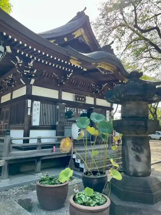 大円寺(東京都)