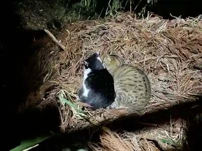 伏見稲荷大社(京都府)