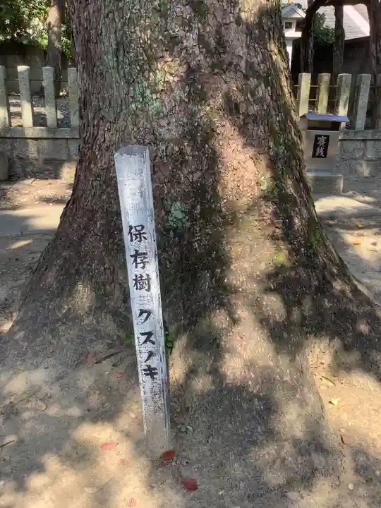 神明社(伝馬神明社)の自然