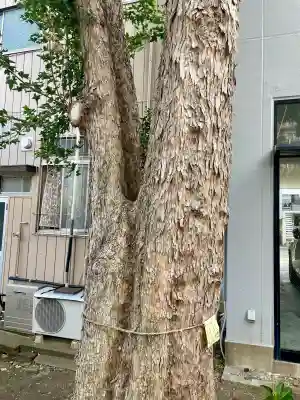 諏訪八幡神社(茨城県)