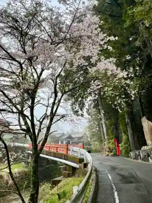 須山浅間神社(静岡県)
