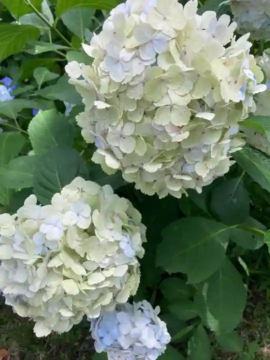 妙楽寺(神奈川県)