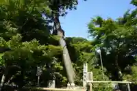 目の霊山 油山寺の自然