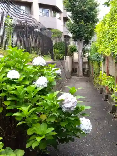 市谷亀岡八幡宮(東京都)