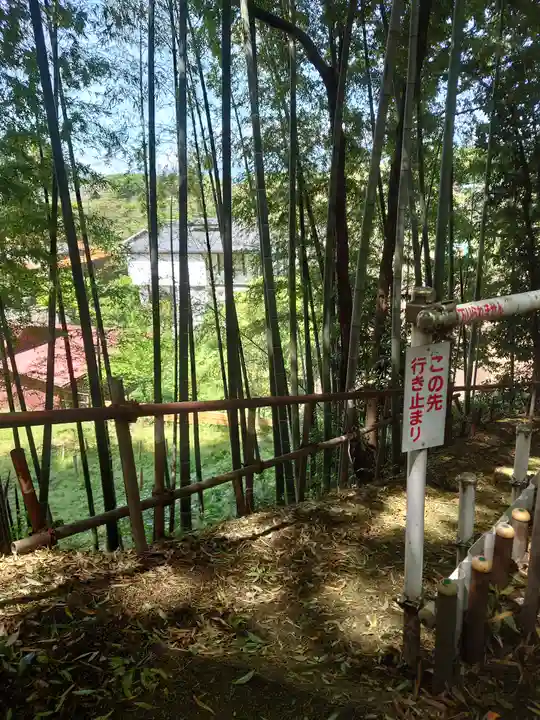 中将姫(神奈川県)