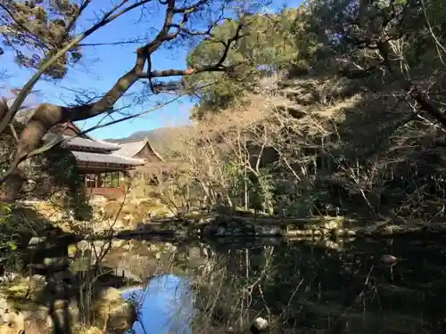 天授庵の庭園