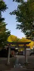 高木神社の鳥居