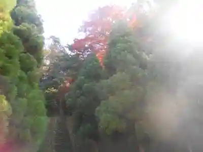 理智光寺跡（理智光寺址）＜史跡＞の自然