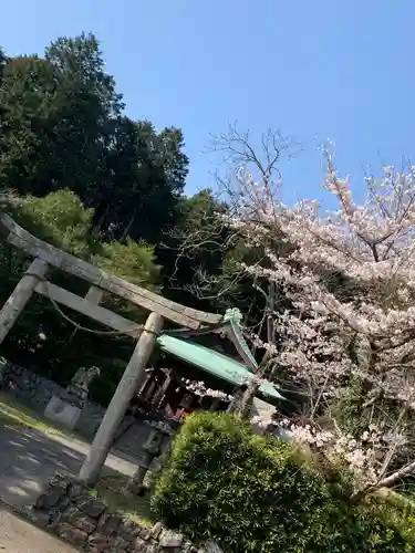 賀茂神社の鳥居