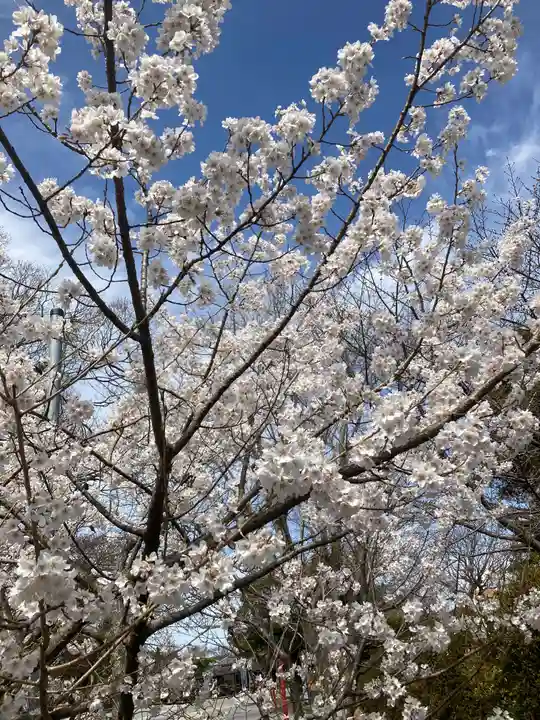 龍城神社の自然