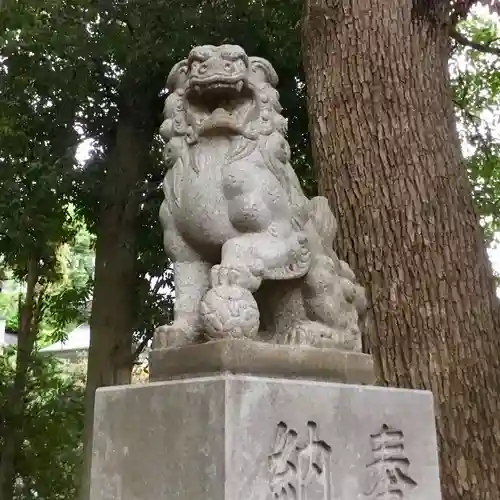 熊野神社の狛犬