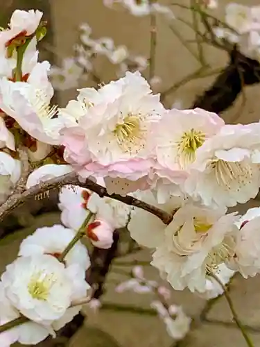 大阪天満宮(大阪府)