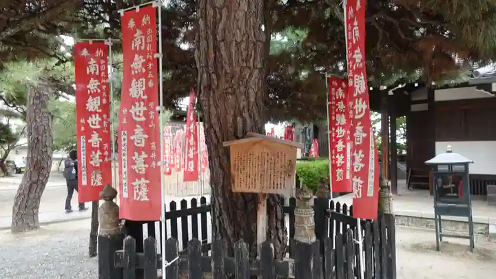 葛井寺(大阪府)